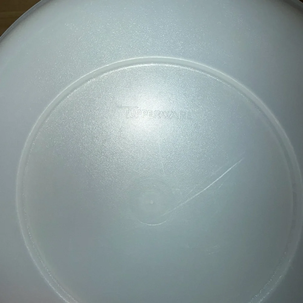 Blue Tupperware Plastic Divided Snack Tray veggie tray relish tray holiday party